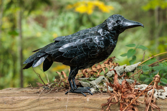 Metal Raven