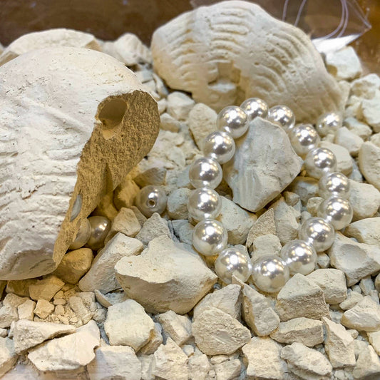 Pearl Bracelet Excavation Kit