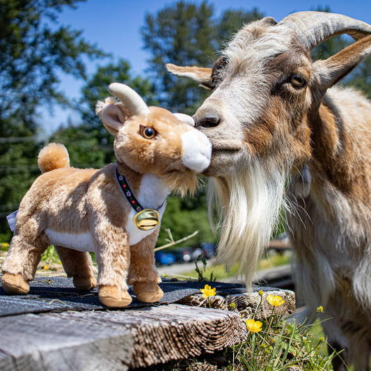Peaches the Goat Plush