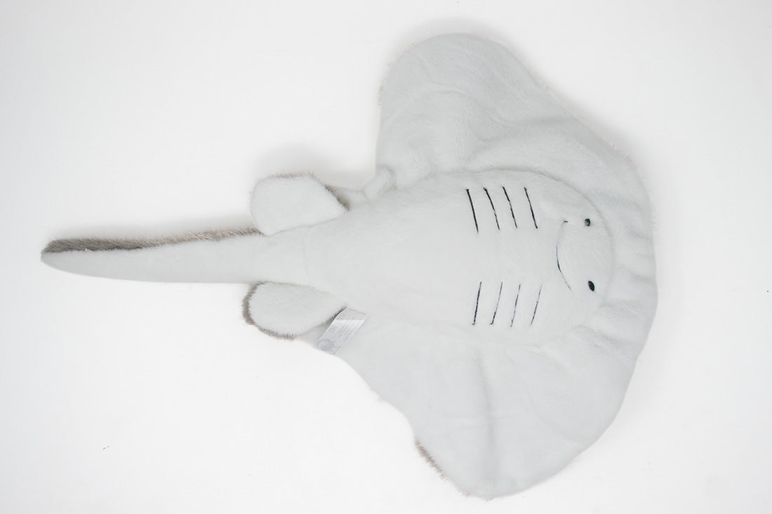 Ripple the Stingray