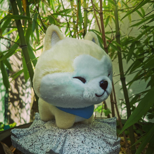 Akita Puppy