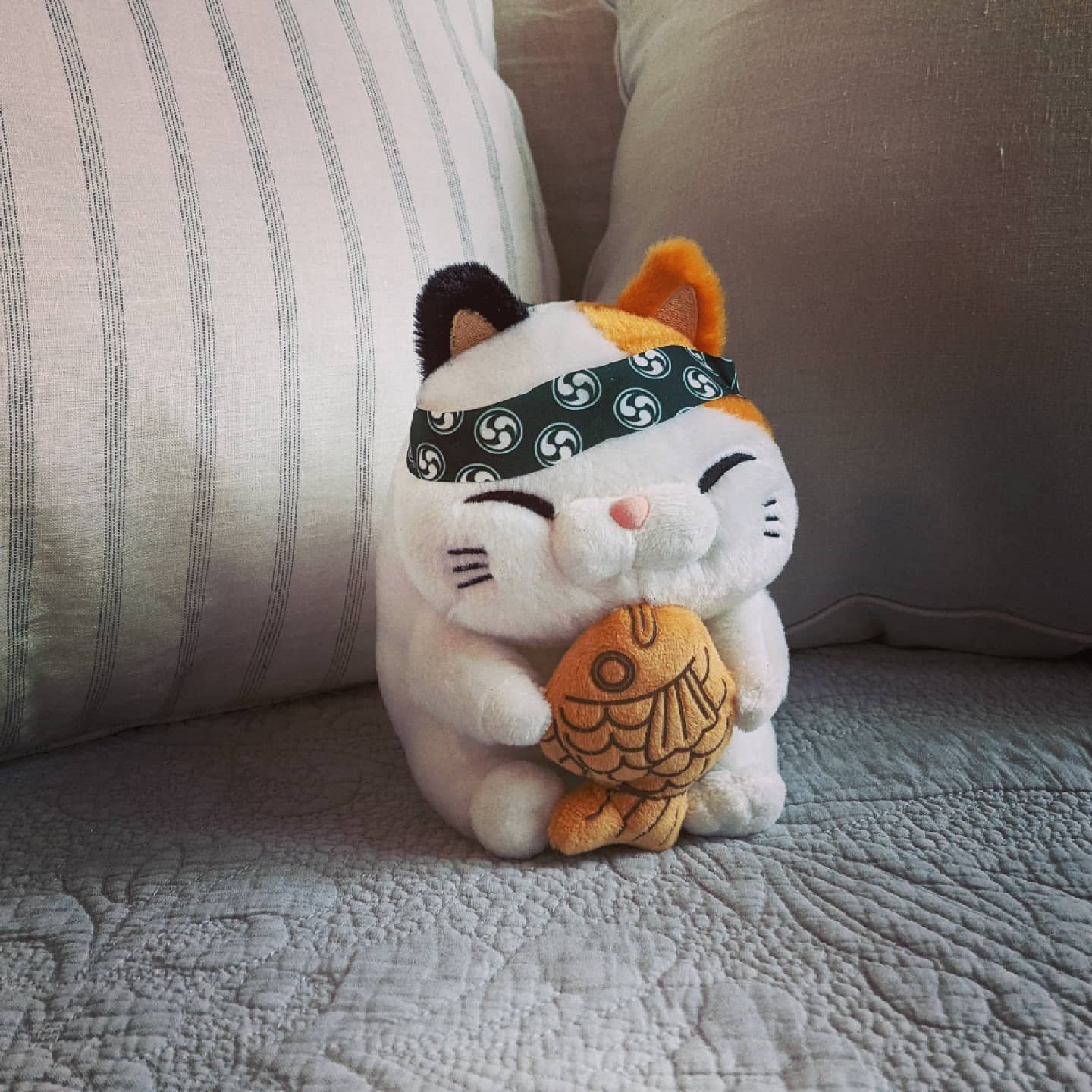 White Cat with Taiyaki