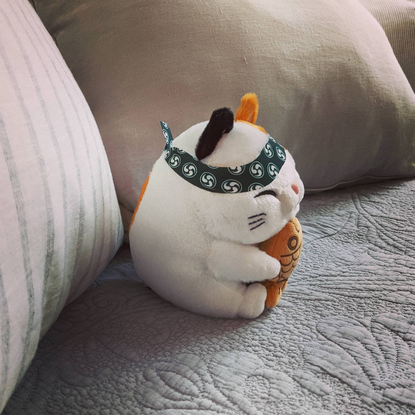 White Cat with Taiyaki