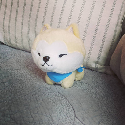 Akita Puppy
