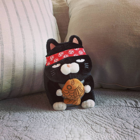 Black Cat with Taiyaki