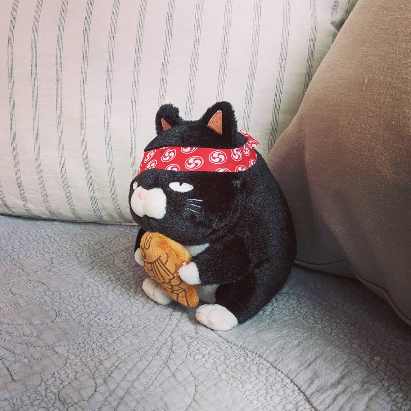 Black Cat with Taiyaki