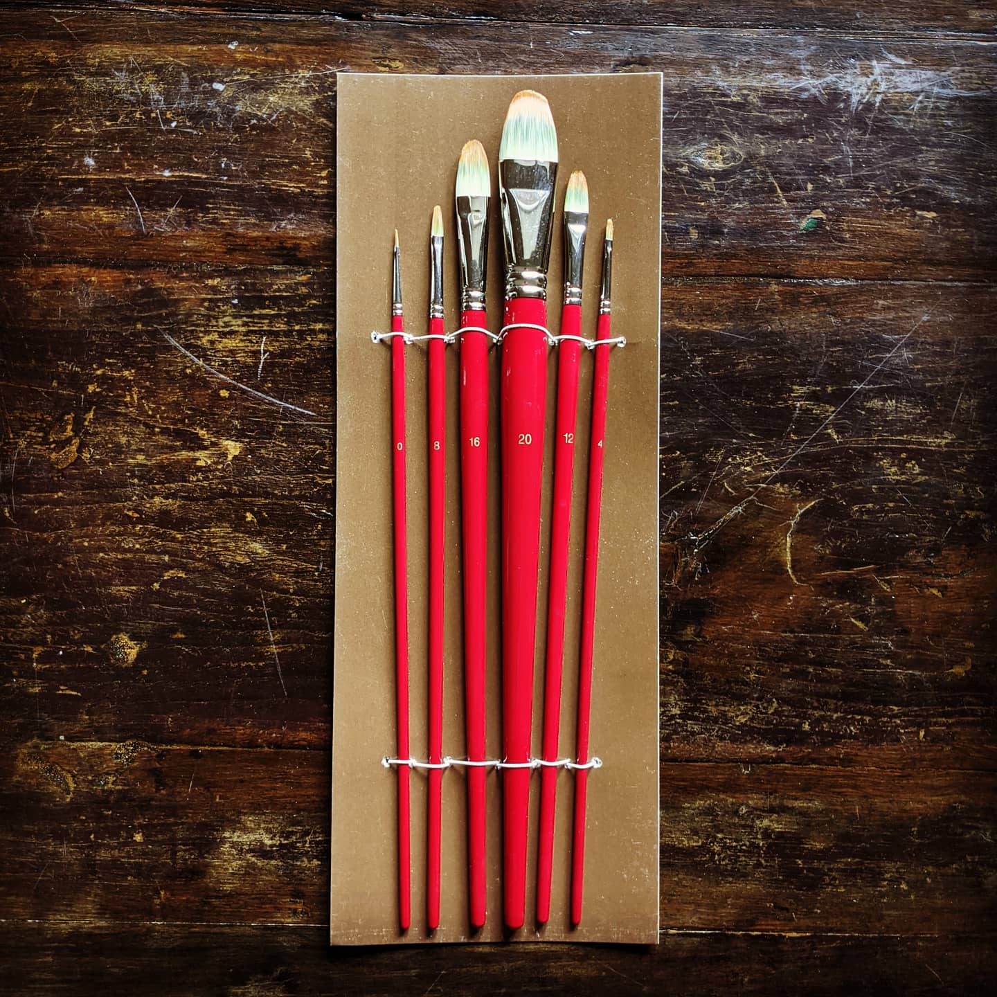 Professional Synthetic Brush Set of 6