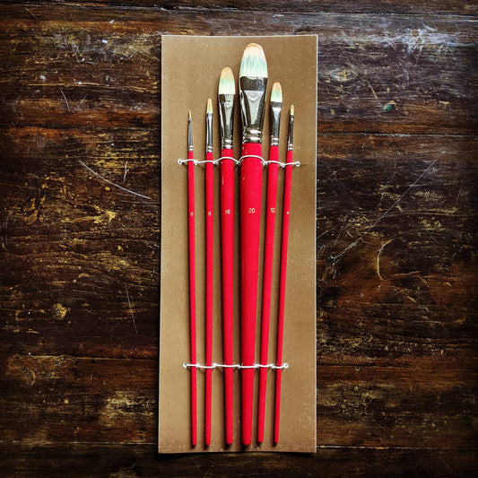 Professional Synthetic Brush Set of 6