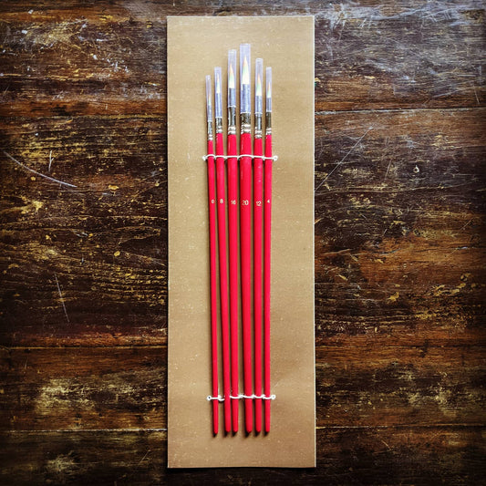 Professional Synthetic Brush Set of 6