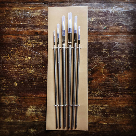 Professional Synthetic Brush Set of 6