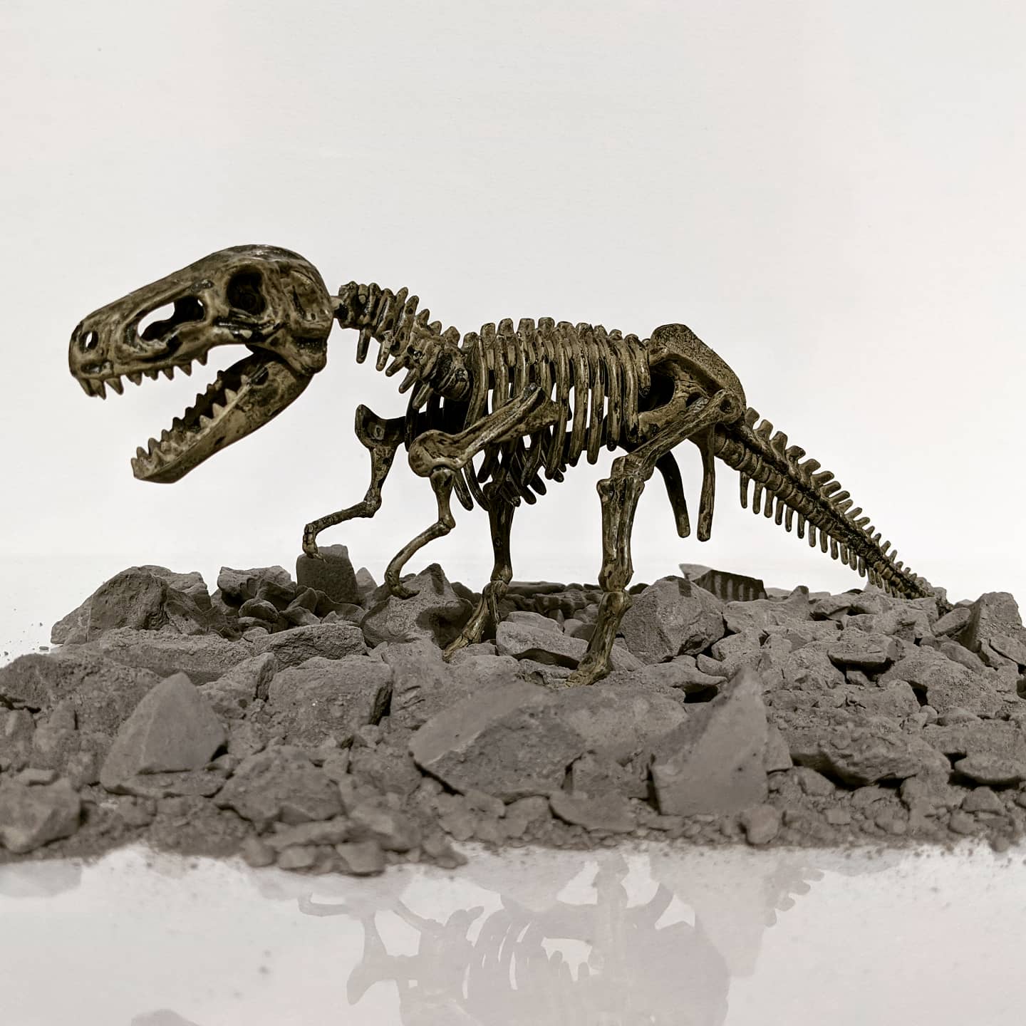 Dinosaur Fossil Excavation Kit