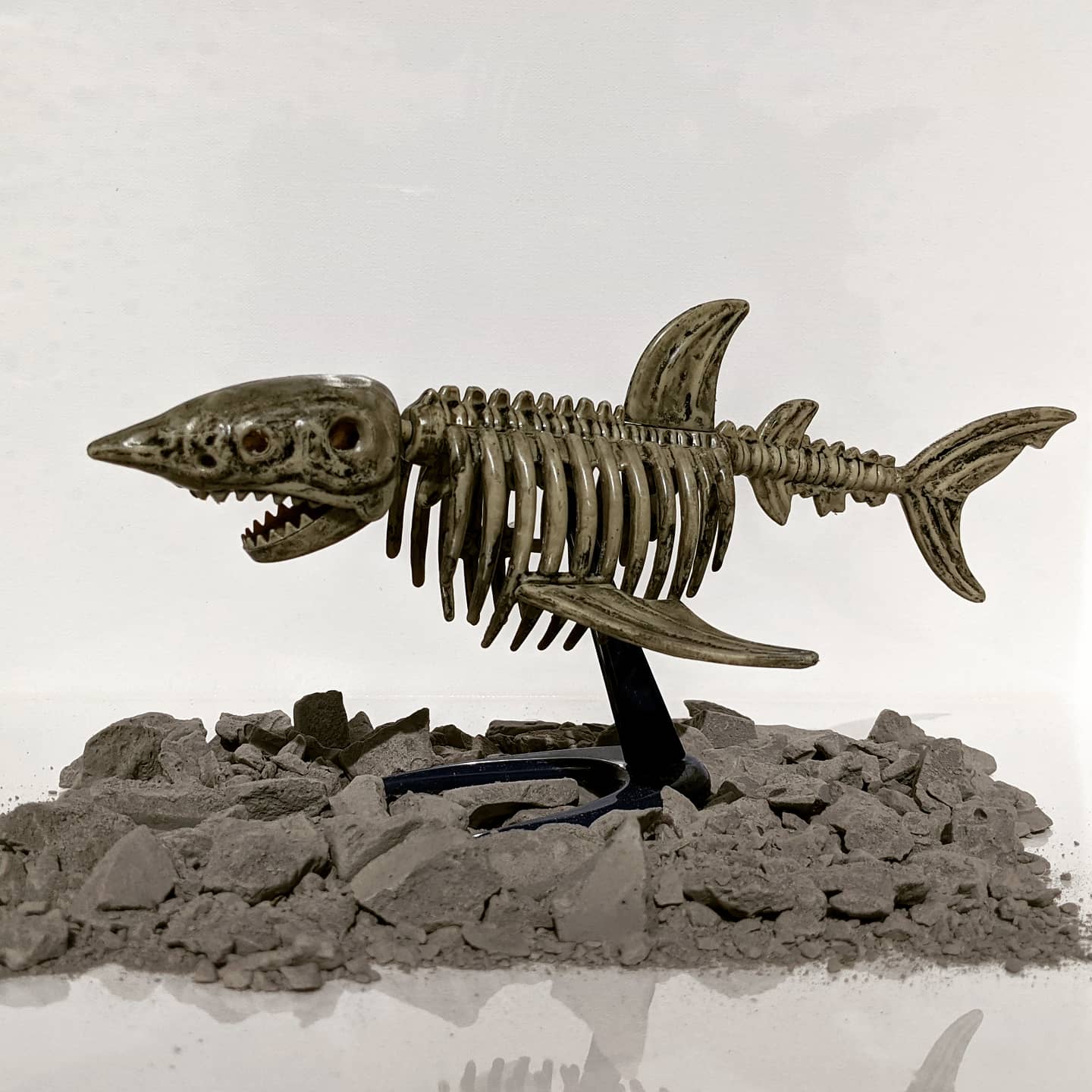 Dinosaur Fossil Excavation Kit