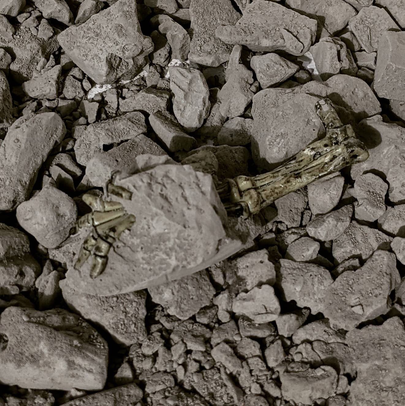 Dinosaur Fossil Excavation Kit
