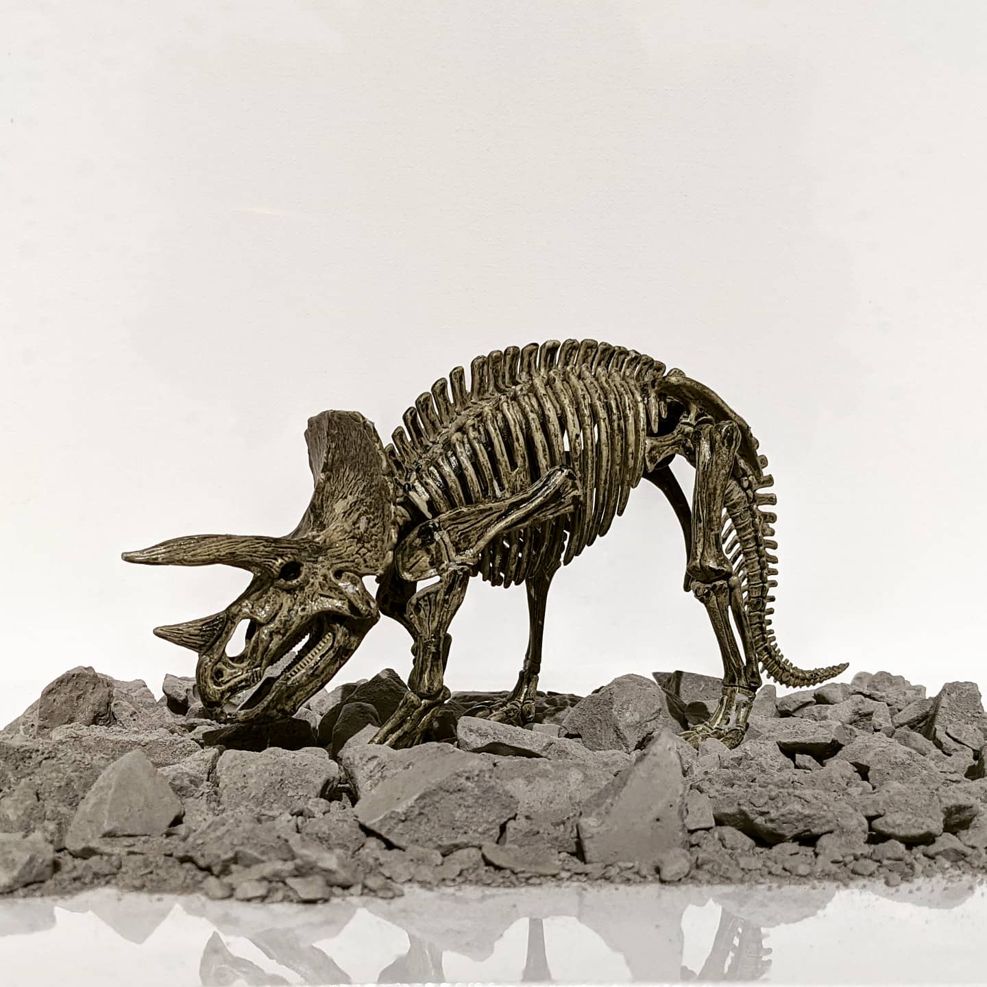Dinosaur Fossil Excavation Kit