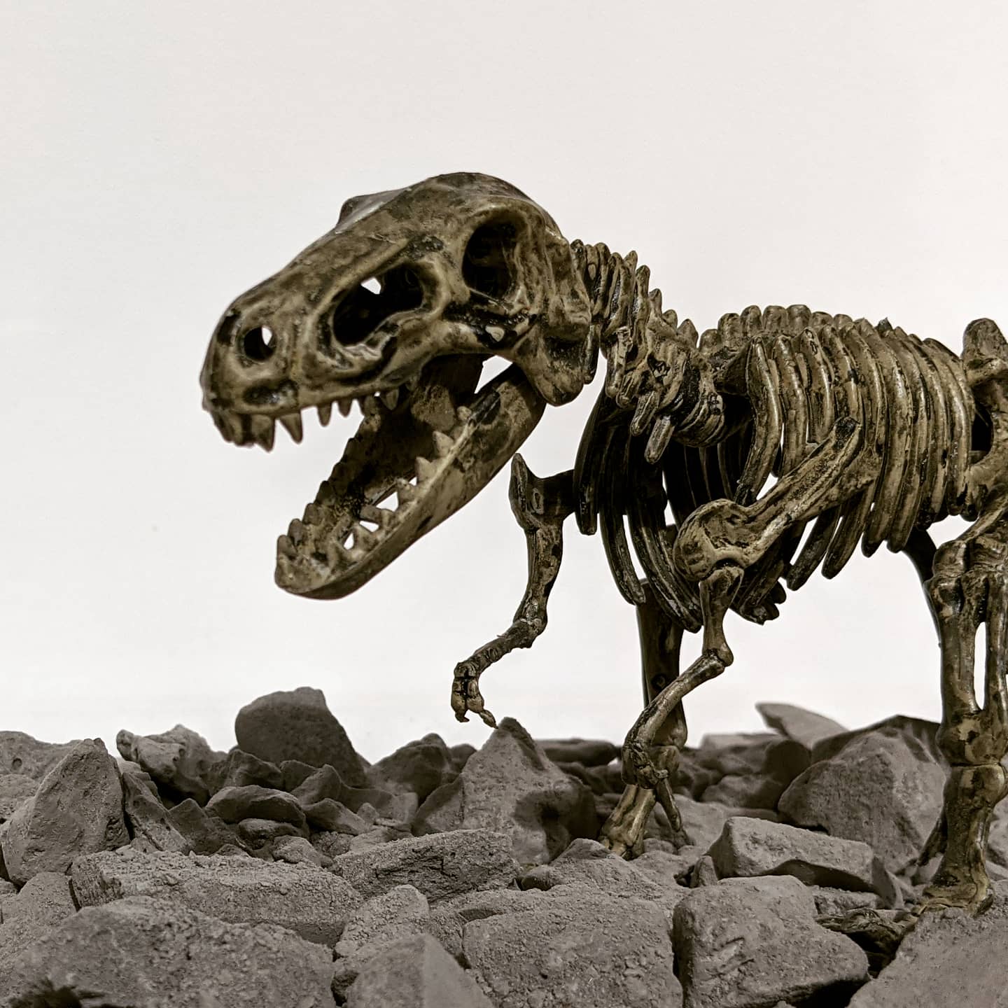 Dinosaur Fossil Excavation Kit
