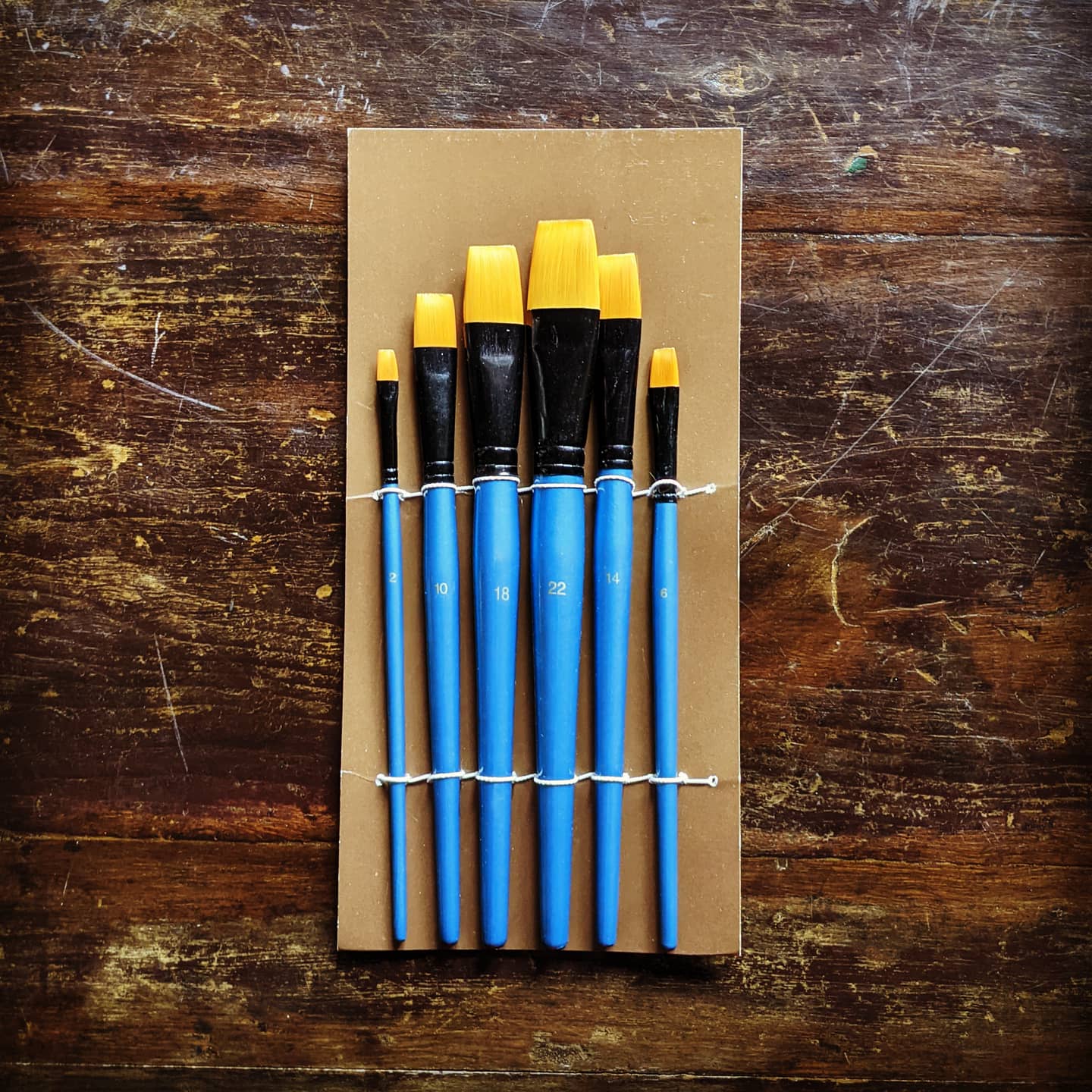 Student Synthetic Brush Set of 6