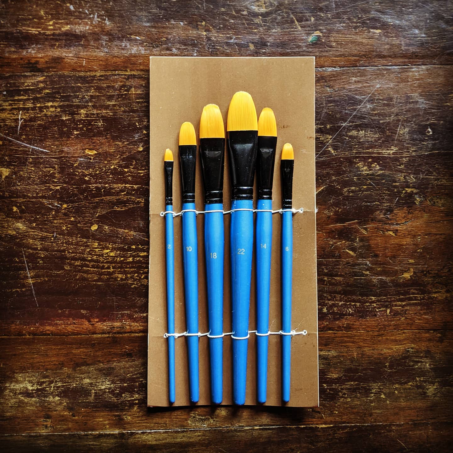 Student Synthetic Brush Set of 6