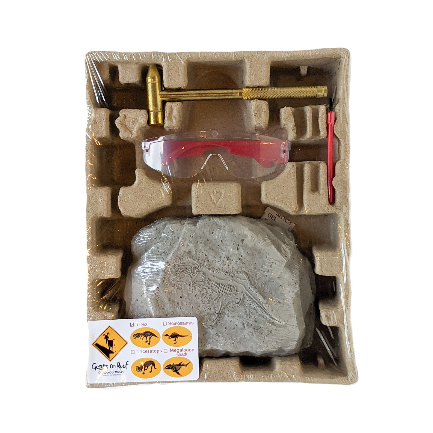Dinosaur Fossil Excavation Kit