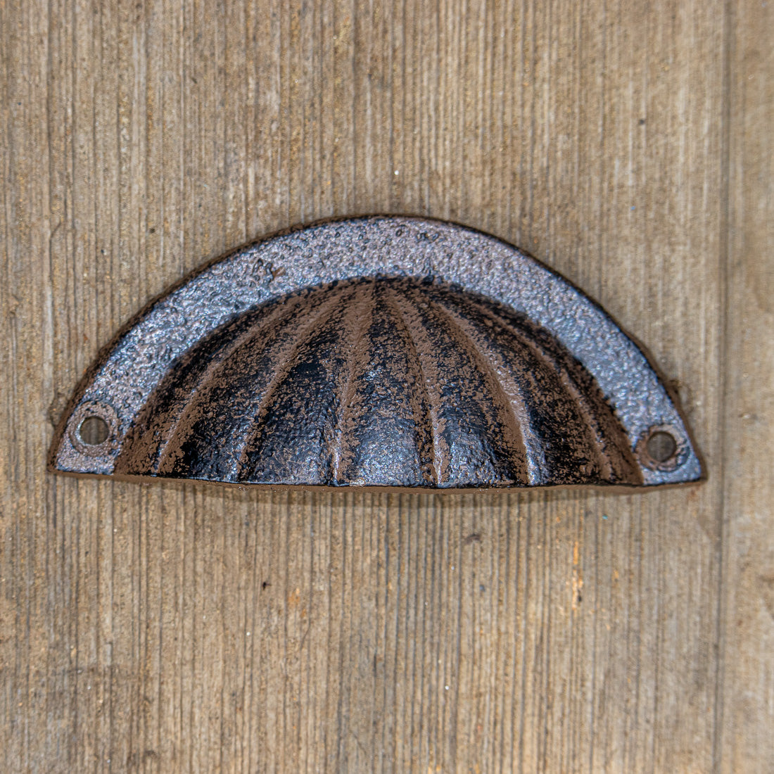 Sea Shell Drawer Pull