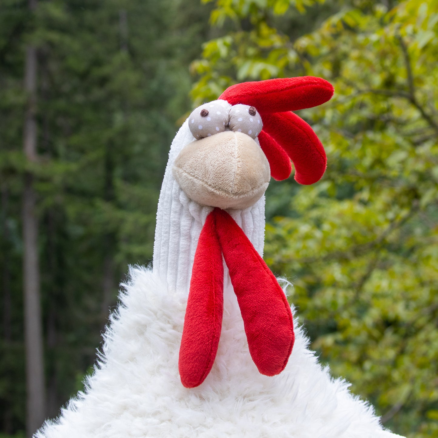 Chester the Chubby Chicken