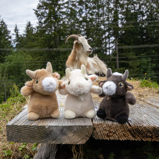Mini Plush Goats
