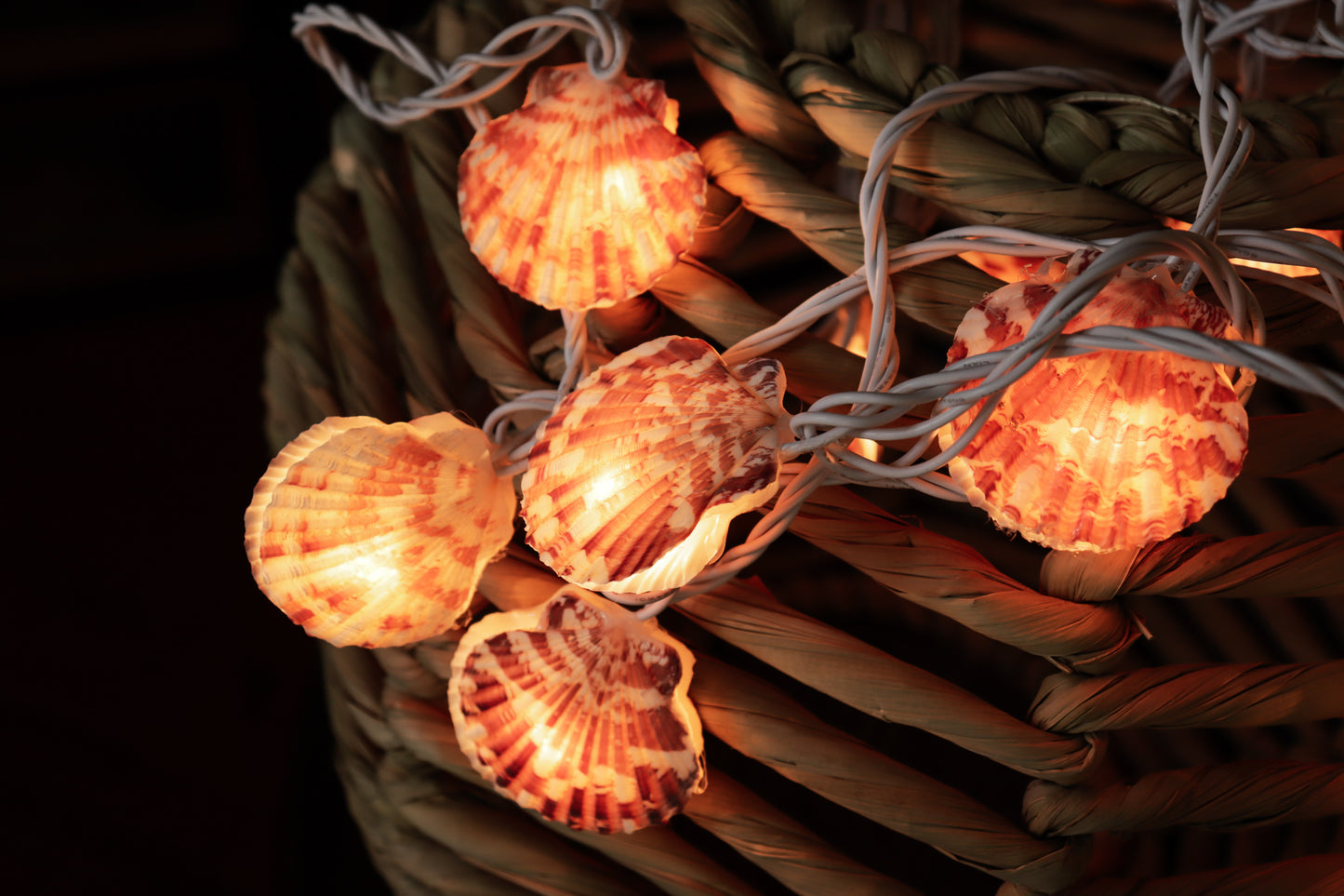 Festival String Lights (Assorted Styles)