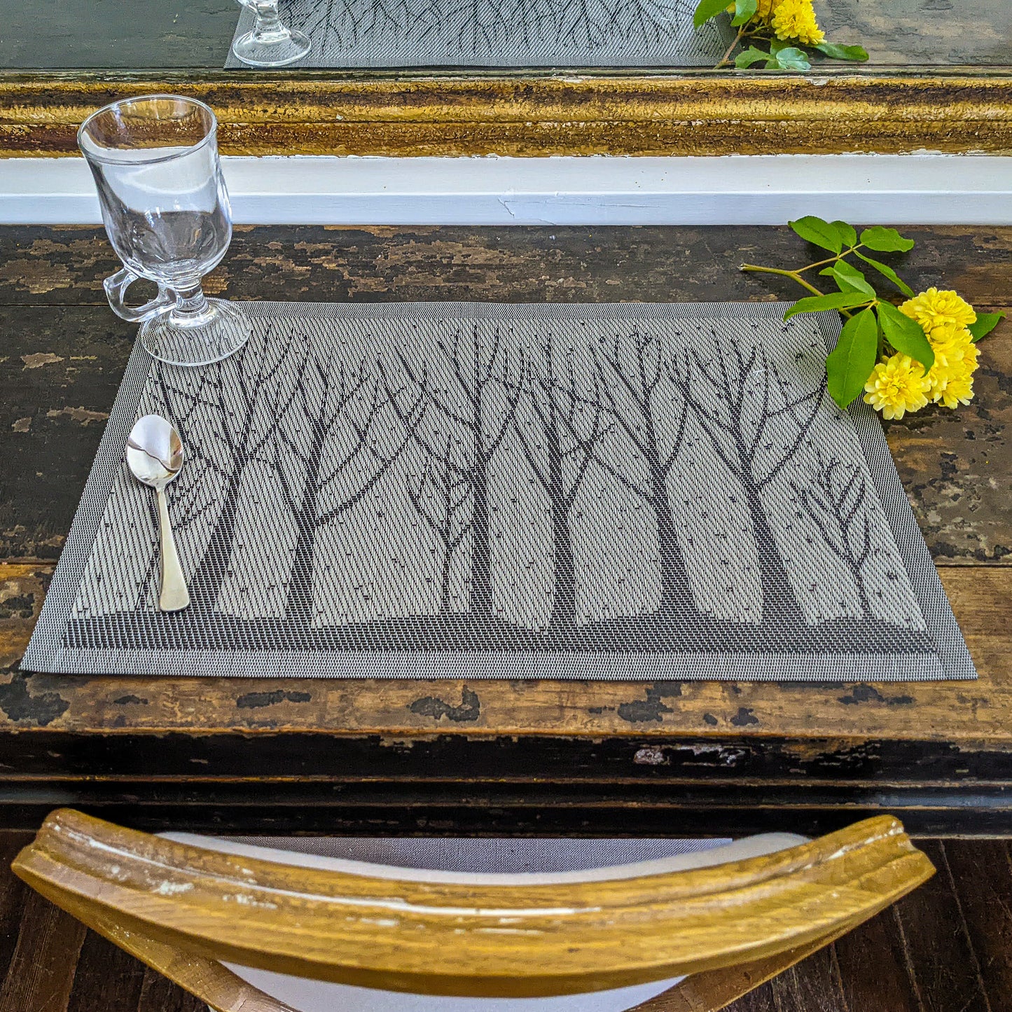 Textilene Placemats (Set of 6)