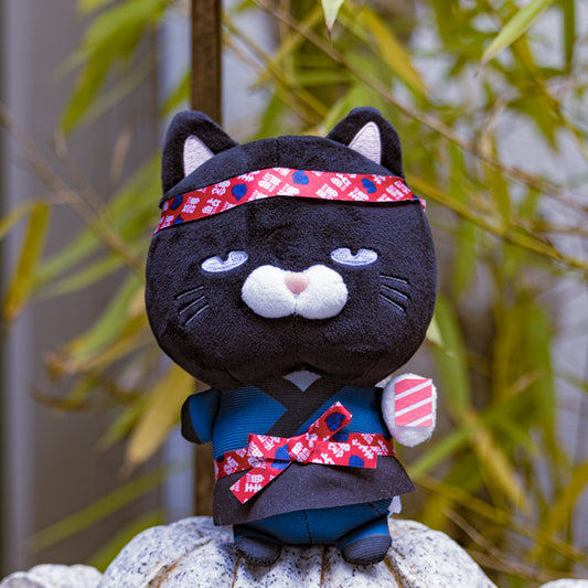 Sushi Master Kitties