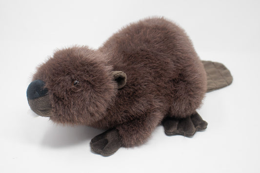 Bucky the Beaver