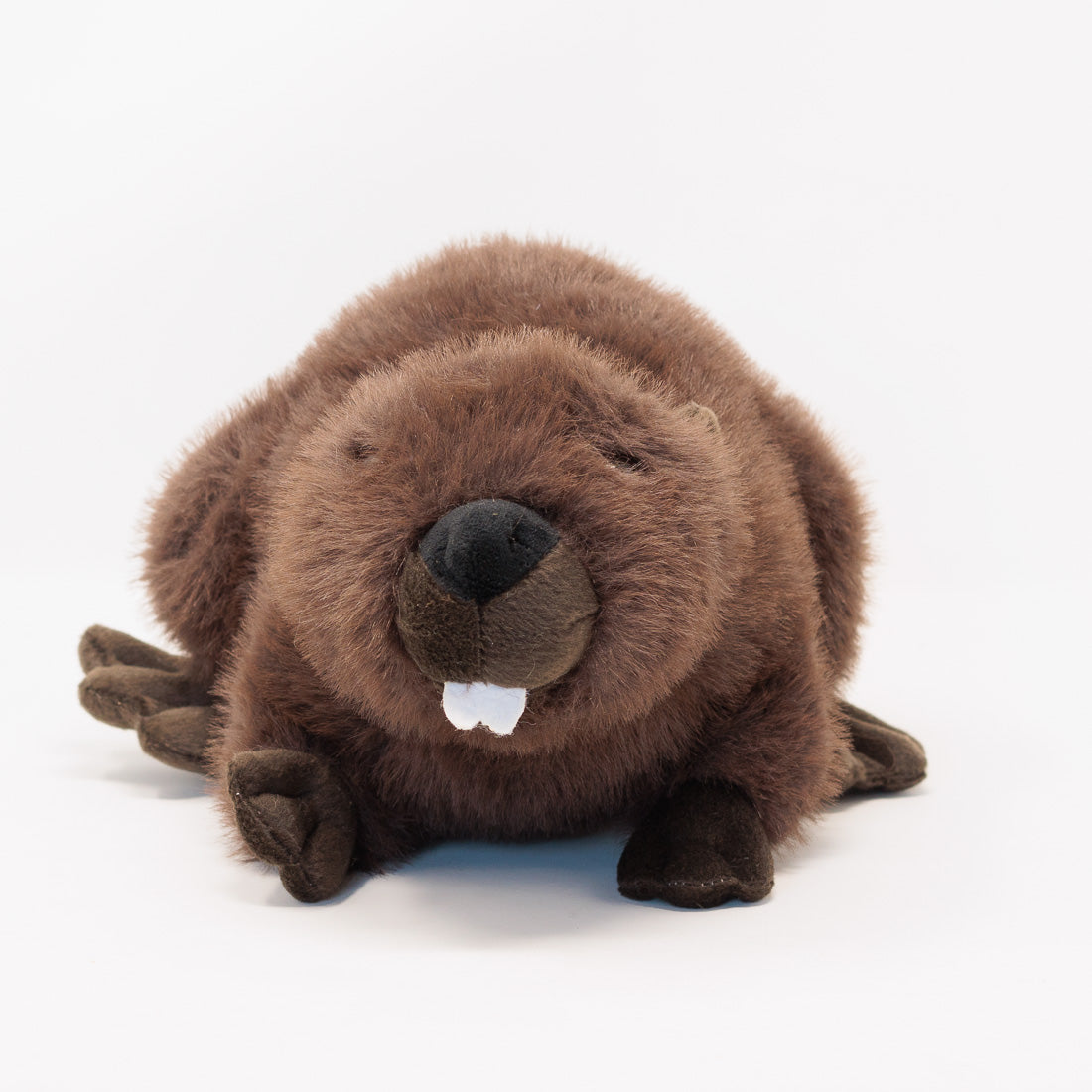 Bucky the Beaver