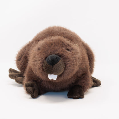 Bucky the Beaver