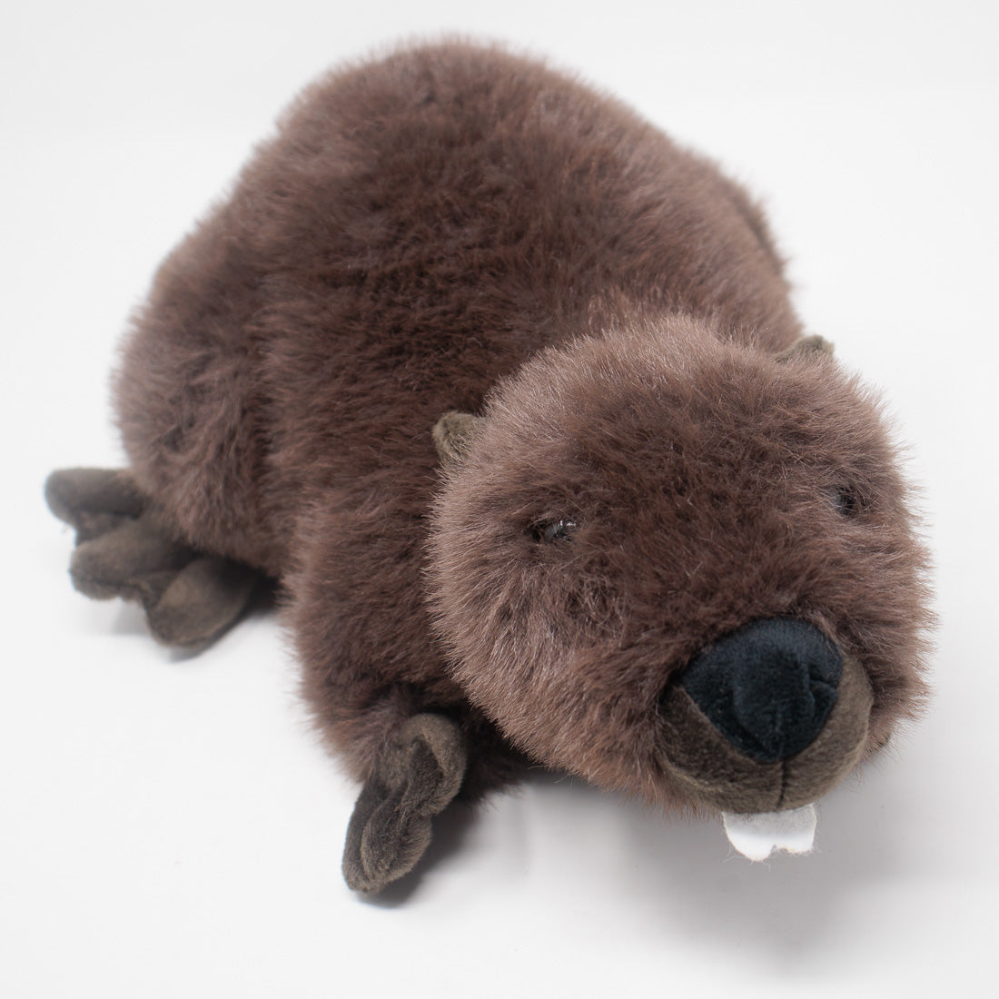 Bucky the Beaver