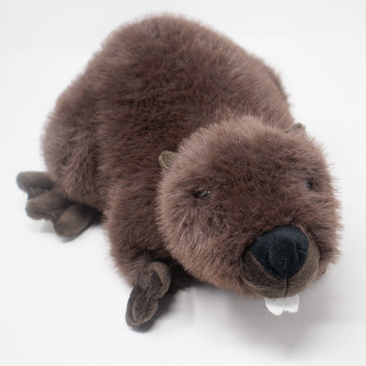 Bucky the Beaver