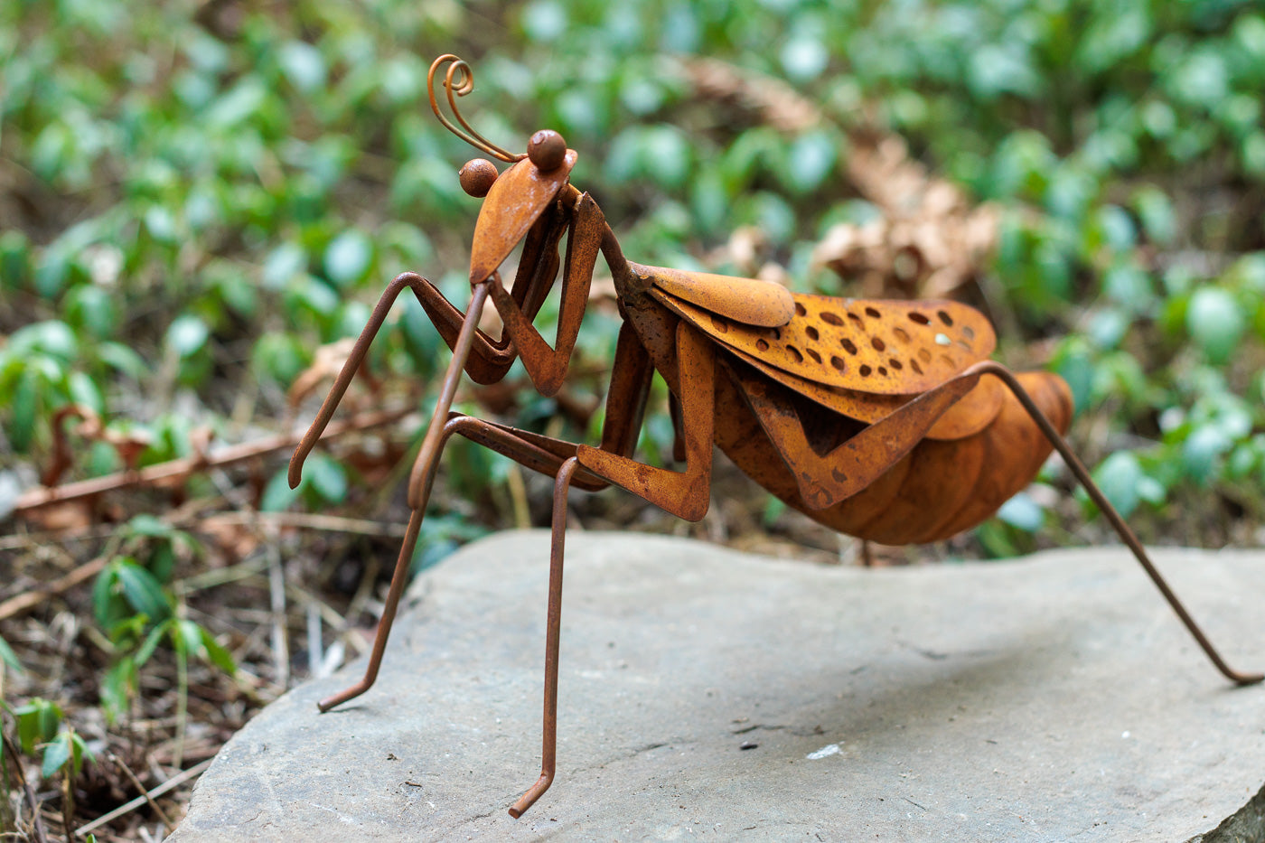 Metal Praying Mantis