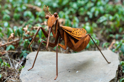 Metal Praying Mantis