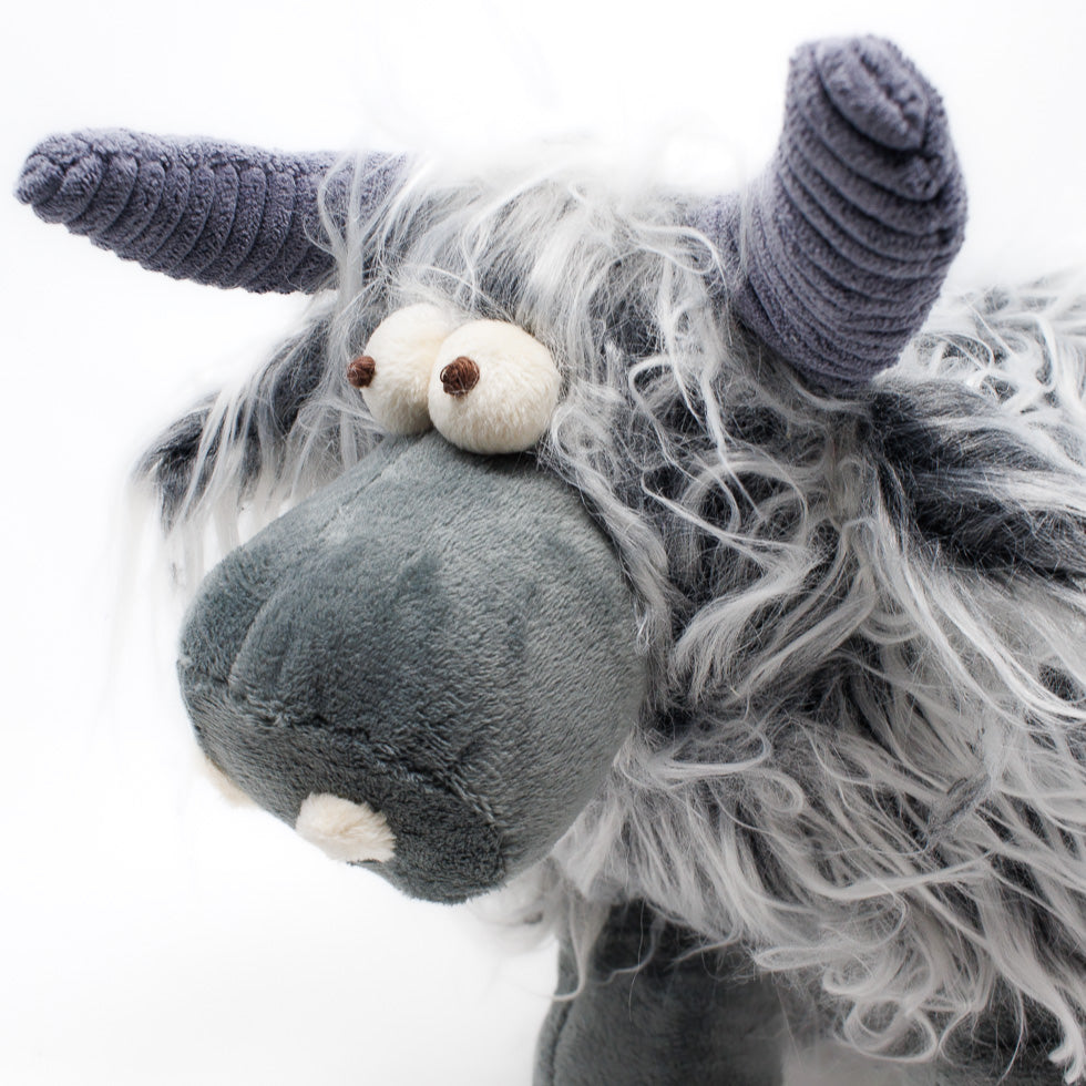 Milkshake the Highland Cow