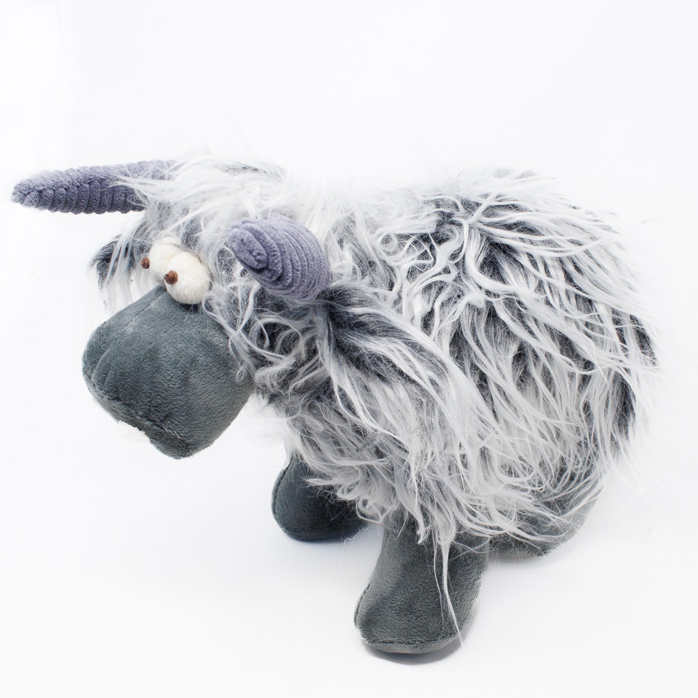 Milkshake the Highland Cow