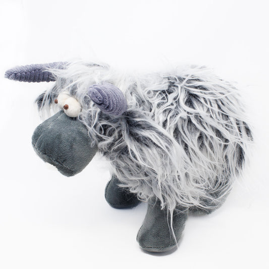 Milkshake the Highland Cow