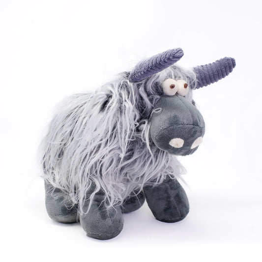 Milkshake the Highland Cow