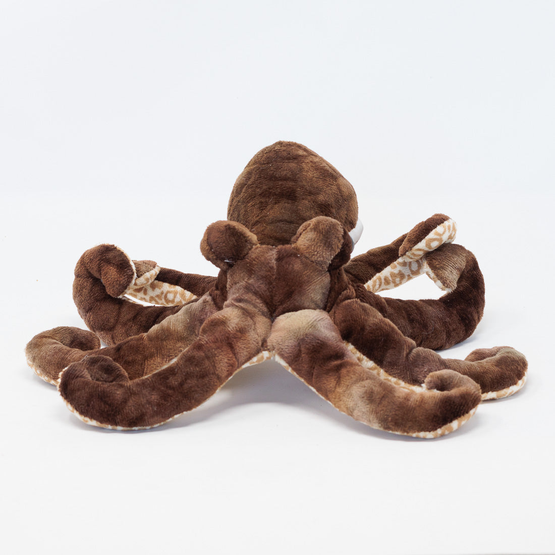 Otto the Octopus