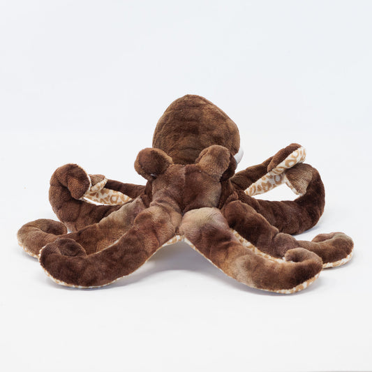 Otto the Octopus