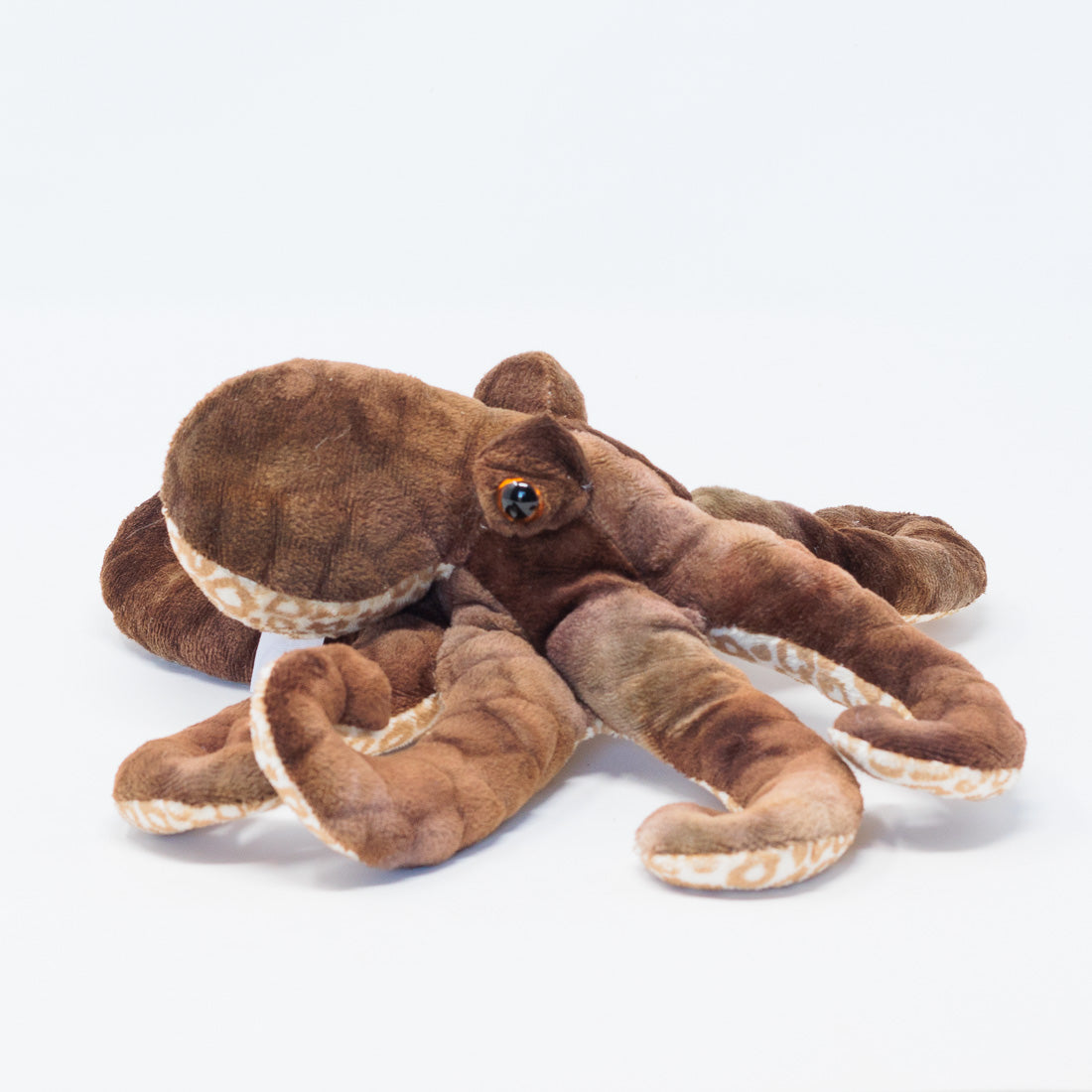Otto the Octopus