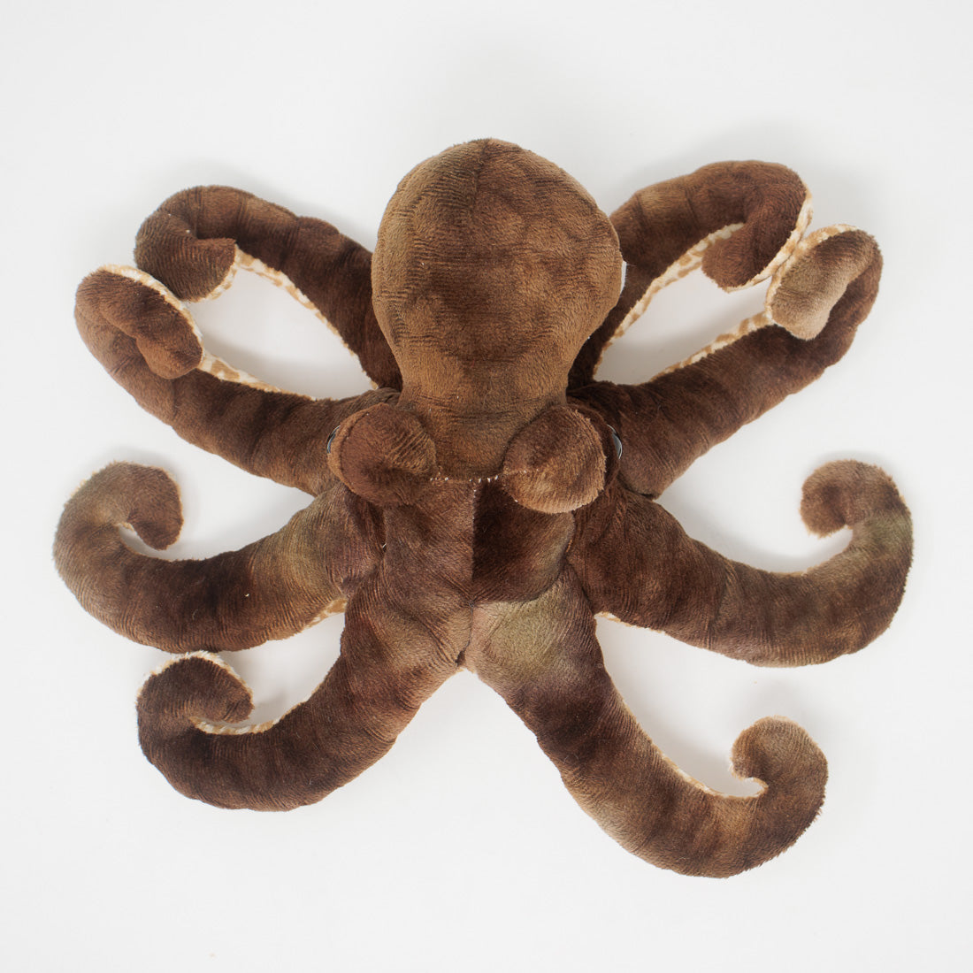 Otto the Octopus