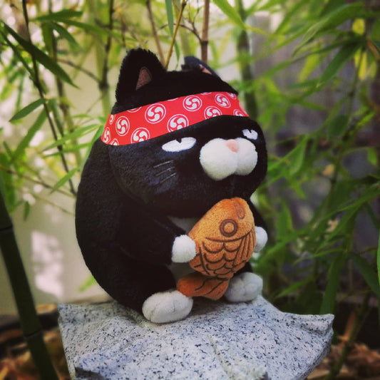 Black Cat with Taiyaki
