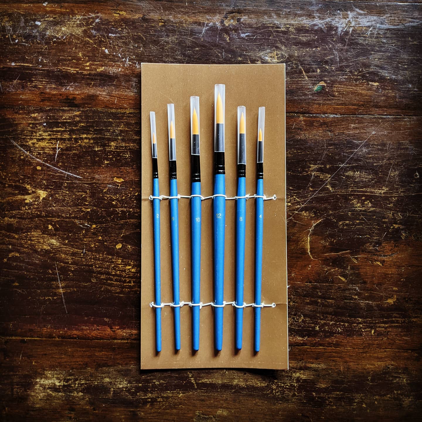 Student Synthetic Brush Set of 6