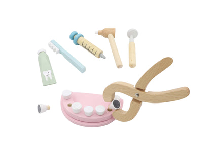 Dentist's Kit Playset