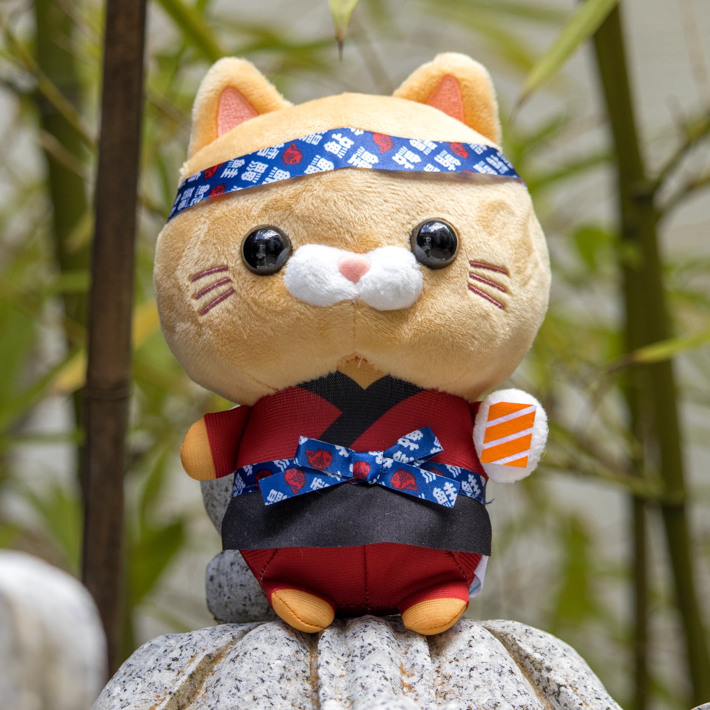 Sushi Master Kitties